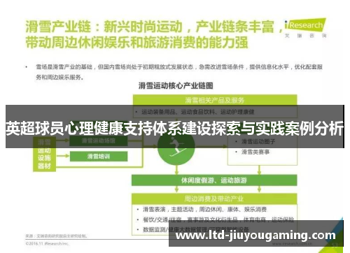 英超球员心理健康支持体系建设探索与实践案例分析